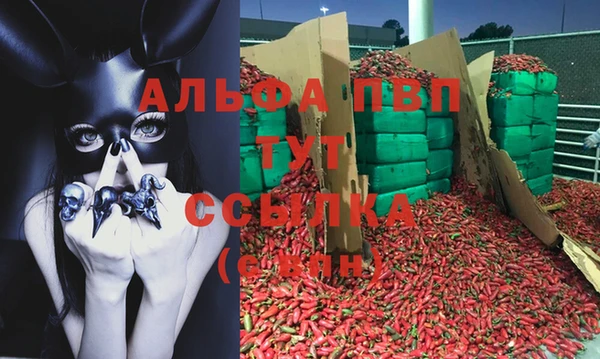 прущие крисы Аркадак