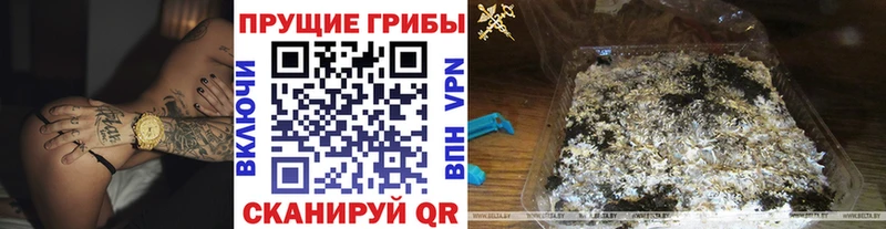 Галлюциногенные грибы MAGIC MUSHROOMS  наркошоп  Орехово-Зуево 